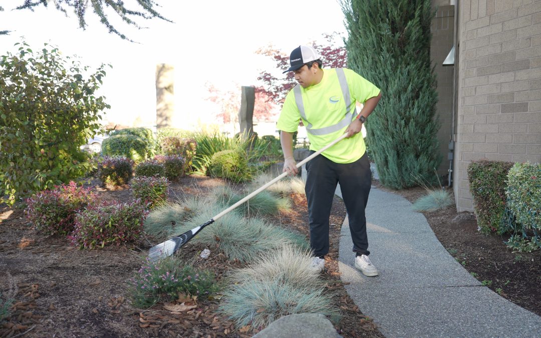 Exterior property maintenance